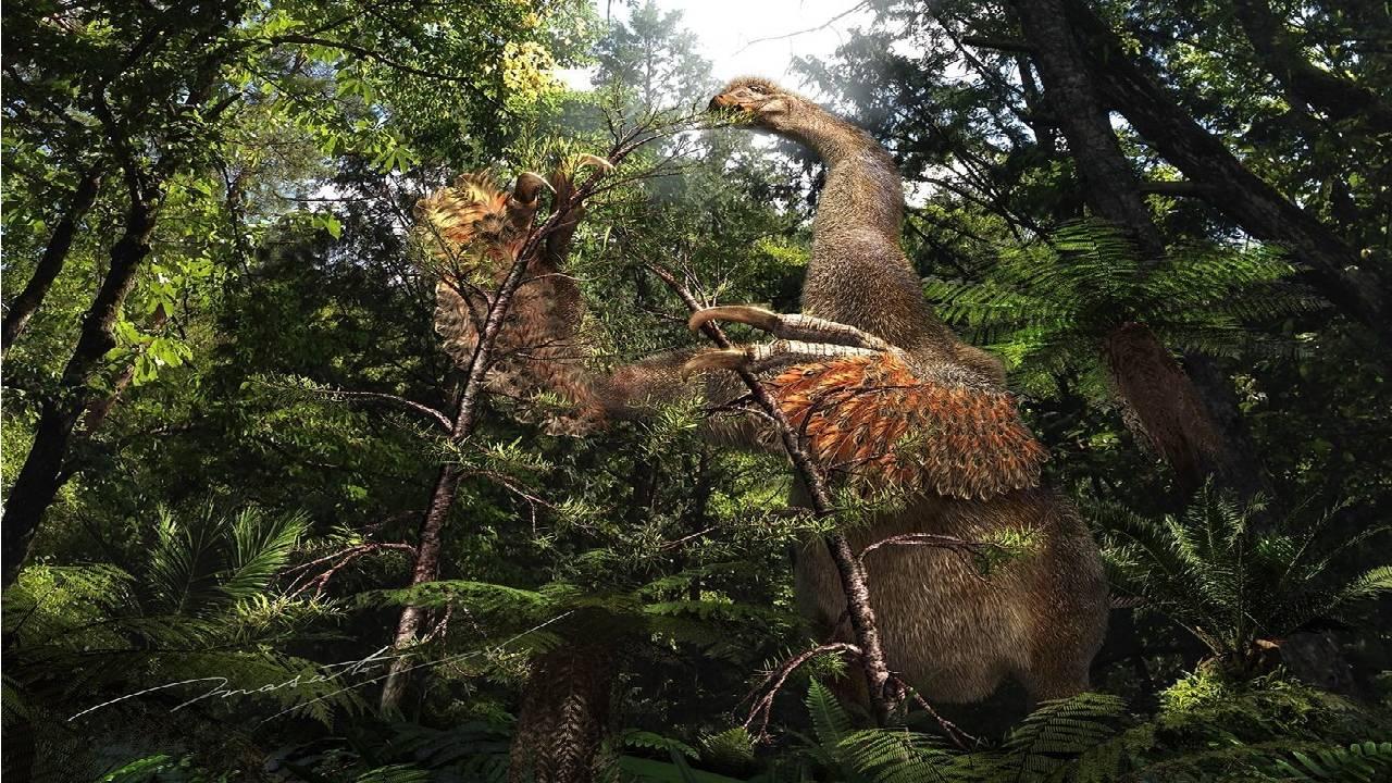 Kanada’dan araştırmacılar iki parmaklı pençeleri bulunan yeni bir dinozor türü keşfetti